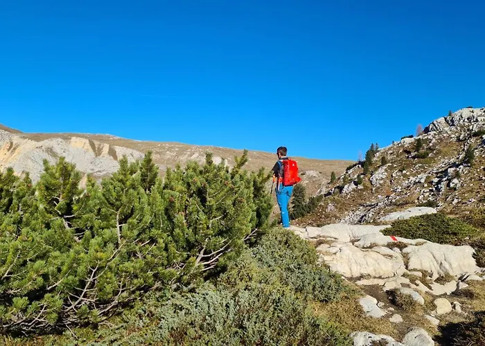 Apartmán Rainer Sillian