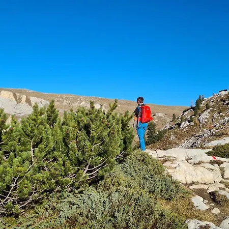 公寓 Rainer 锡利安