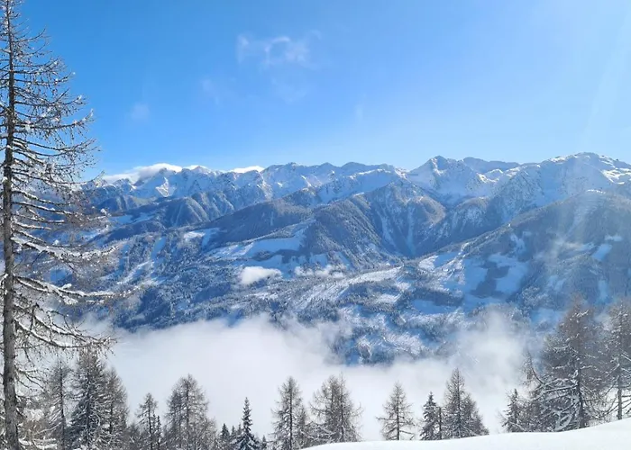 Rainer Appartement Sillian